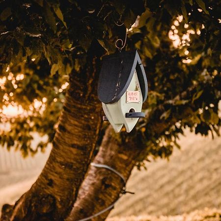 Hohler Appartement ガムリッツ エクステリア 写真
